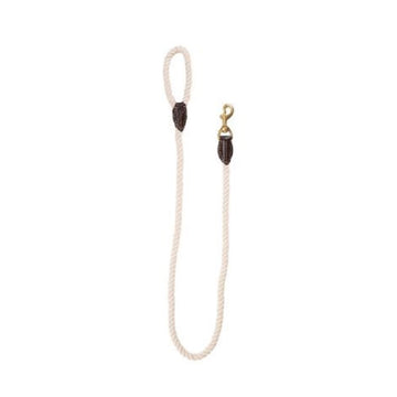 Petsleisure Pet Leashes